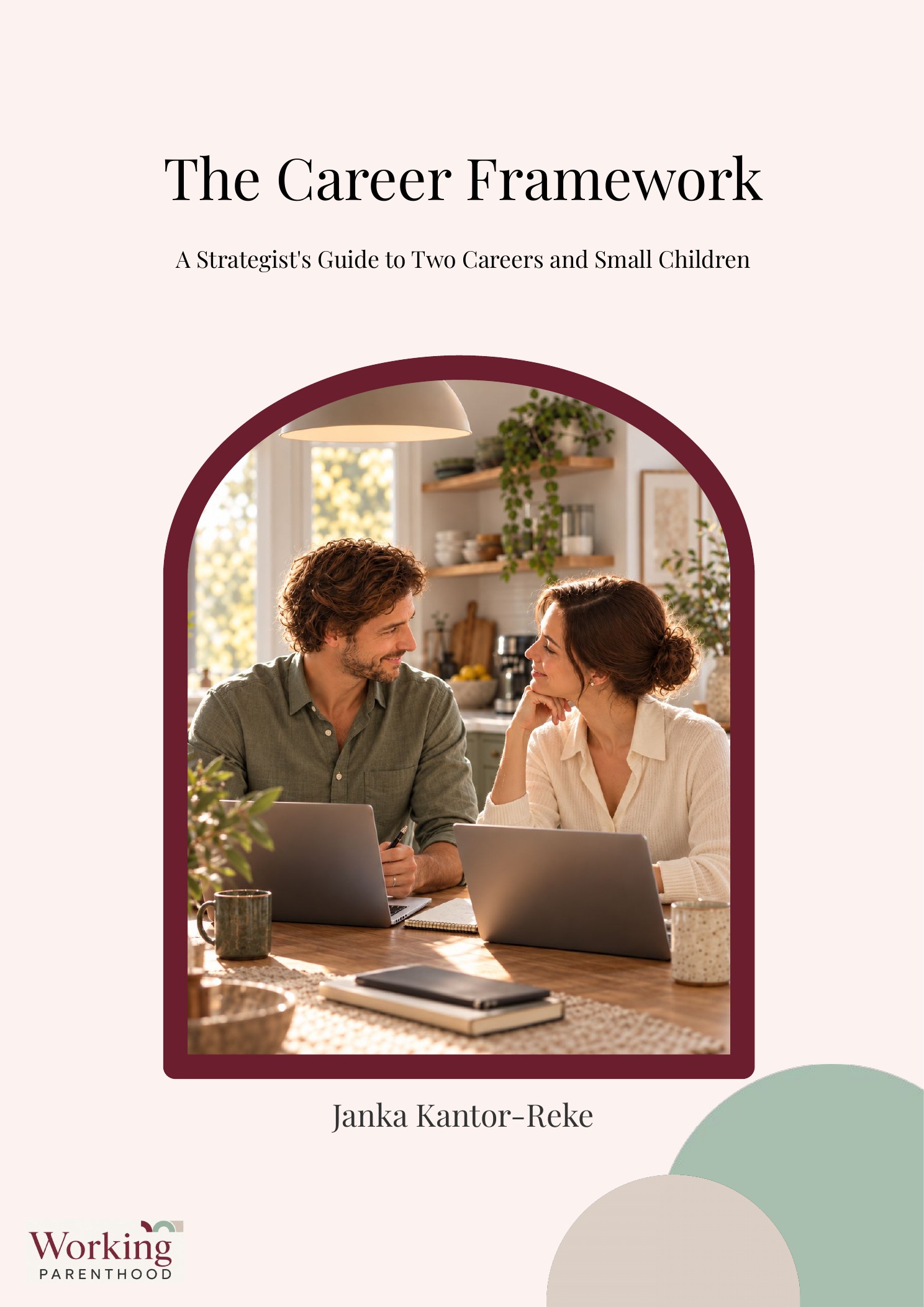 Cover of The Career Framework by Janka Kantor-Reke