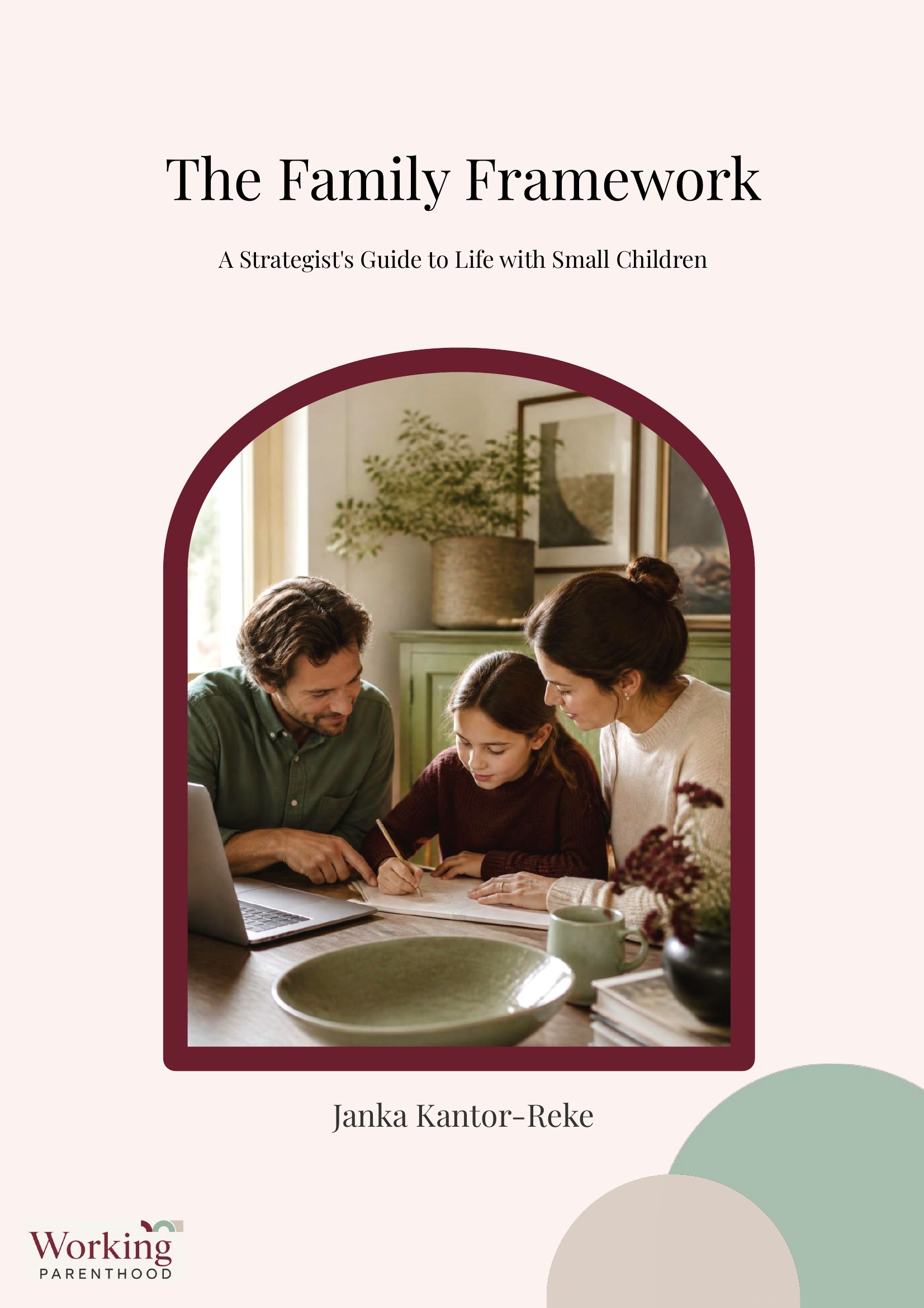Cover of The Family Framework by Janka Kantor-Reke